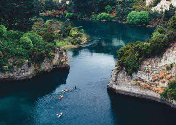 1602838563827630.jpg timg.jpg